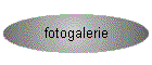 fotogalerie